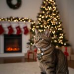 Christmas tree Holiday Warm and Cozy Mood Collar