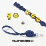 Designer Collar Walk Kit