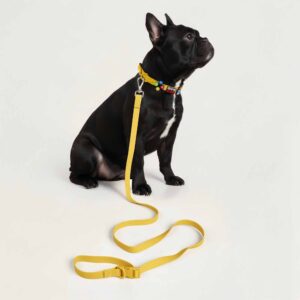 Dog Leash