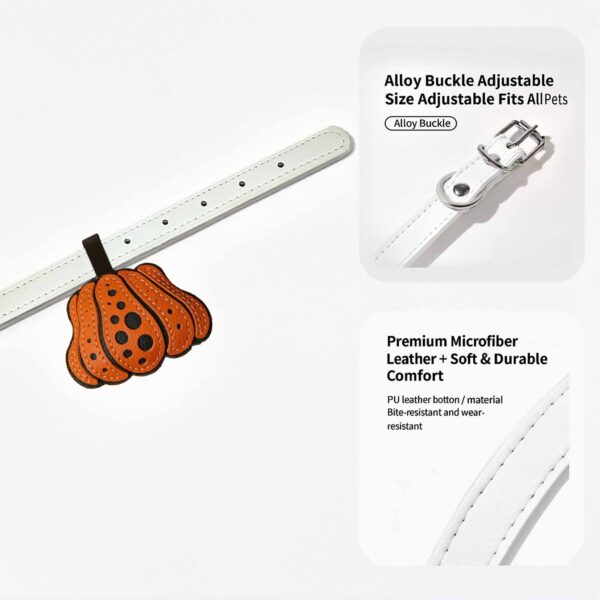 Trick or Treat Halloween Pumpkin Sweets Collar - Image 3