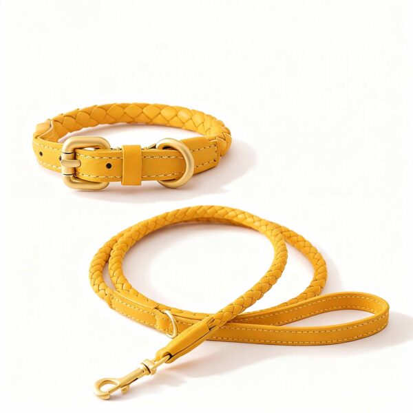 Luxury Leather Collar and Leash Set Fancy Leather Dog Collar - Image 3