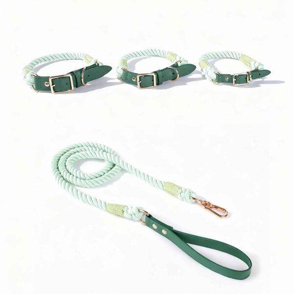 Joyful Tones ColorPlay Collar and Leash Set - Dog Collar - Image 7