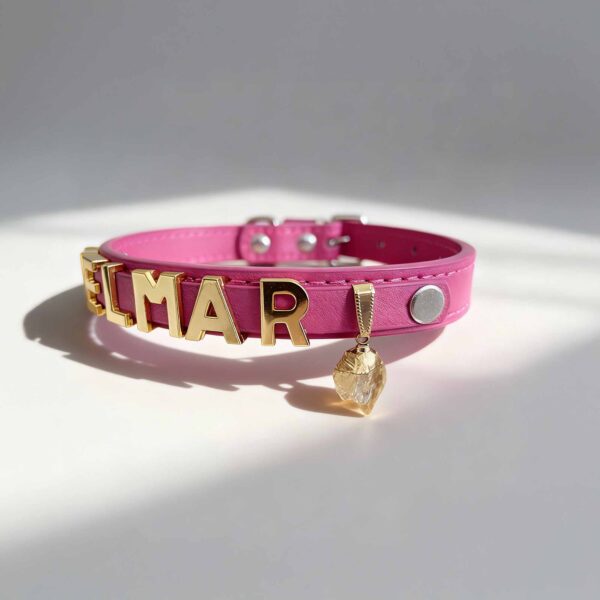 Personalized Dog Collar with Pet Crystal and Dog Name Pet Jewelry Star Signs Crystal Healing - Image 4