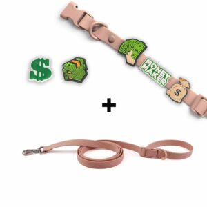Personalized Dog Collar Leash Full Set with Playful Designs - Cash King