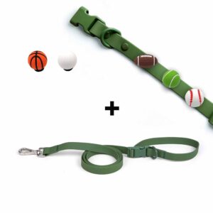 Personalized Dog Collar Leash Full Set with Playful Designs - Super Bowl Sport Fans