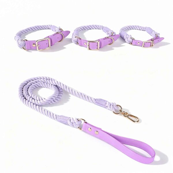 Joyful Tones ColorPlay Collar and Leash Set - Dog Collar - Image 6
