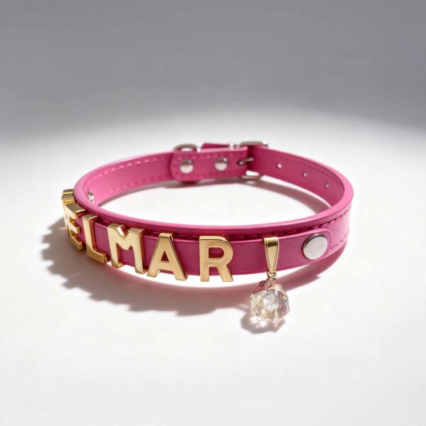 Personalized Dog Collar with Pet Crystal and Dog Name Pet Jewelry Star Signs Crystal Healing - Image 3