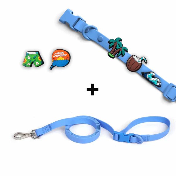 Personalized Dog Collar Leash Full Set with Playful Designs Charms - Family Beach Vacation - Image 2
