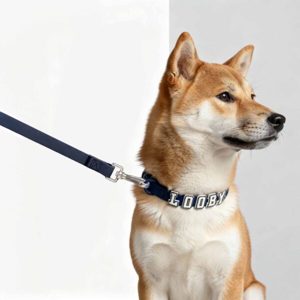 Personalized Dog Collar Leash Full Set with Playful Designs - Glow Luminous Dog Name - Image 3