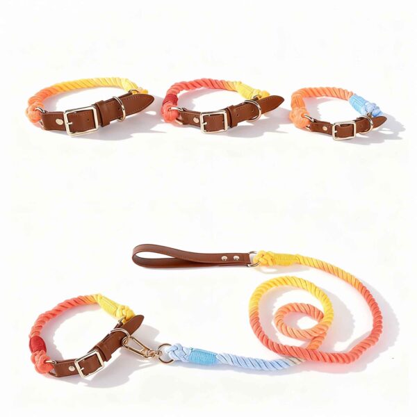 Joyful Tones ColorPlay Collar and Leash Set - Dog Collar - Image 5