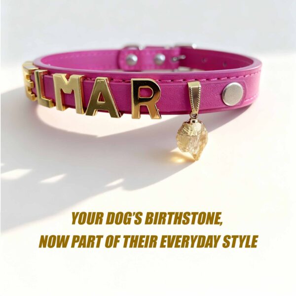 Personalized Dog Collar with Pet Crystal and Dog Name Pet Jewelry Star Signs Crystal Healing - Image 5
