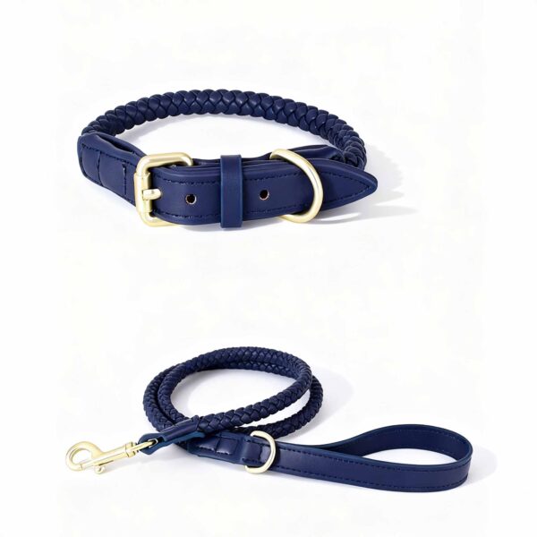 Luxury Leather Collar and Leash Set Fancy Leather Dog Collar - Image 5