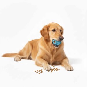 Play Toys - Treat Dispensing Dog Ball Puzzle Chew Pet Treat Oral Care Toy