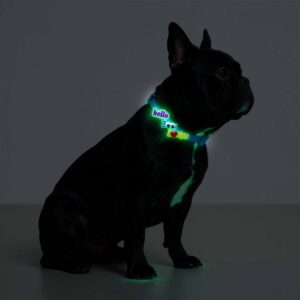 Designer Dog Collar with Playful Designs - Glow Luminous Magic