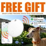 Black Friday Promotion Smart Dog Tracker GPS/AirTag Holder Collar Leash Full Set + FREE GIFT