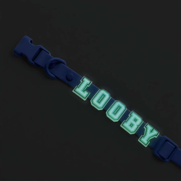 Personalized Dog Collar Leash Full Set with Playful Designs - Glow Luminous Dog Name - Image 5
