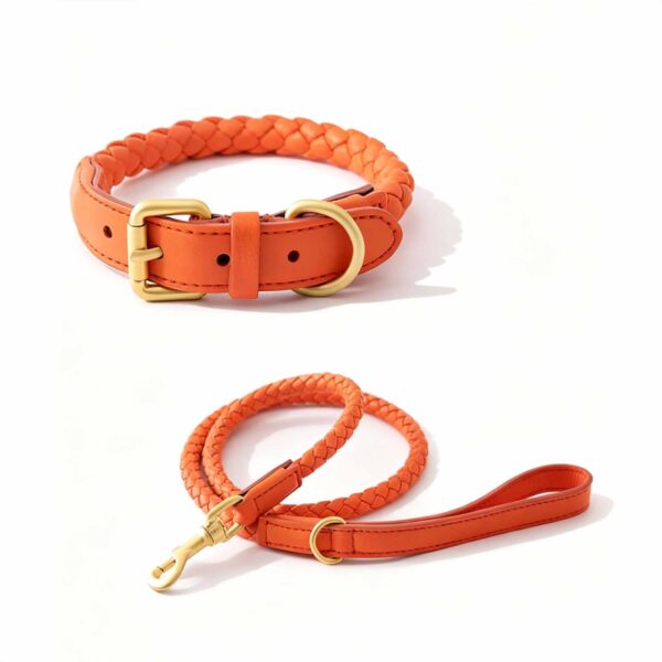 Luxury Leather Collar and Leash Set Fancy Leather Dog Collar - Image 4