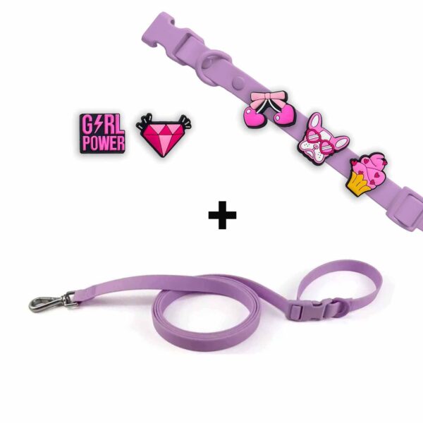 Personalized Dog Collar Leash Full Set with Playful Designs - Girl Power - Image 3