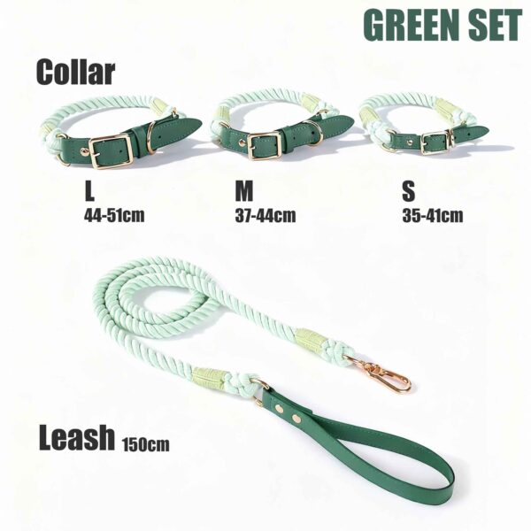 Joyful Tones ColorPlay Collar and Leash Set - Dog Collar - Image 10