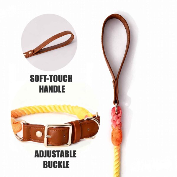 Joyful Tones ColorPlay Collar and Leash Set - Dog Collar - Image 4