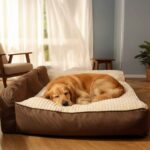 Large Thick Snoozy Dream Spine Protection Dog Cushion Bed