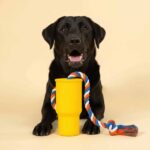 Play Toys - Squeaky Portable Cup Double Rope Tug Dog Chew Toy