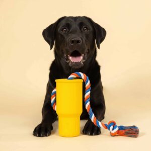 Play Toys - Squeaky Portable Cup Double Rope Tug Dog Chew Toy