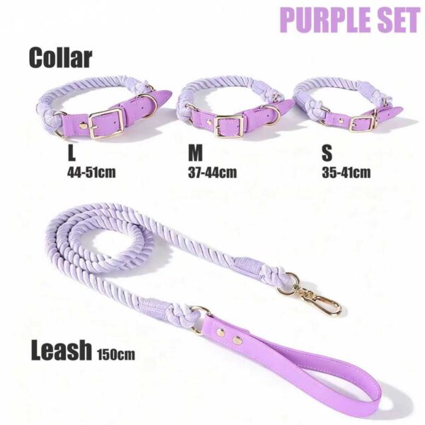Joyful Tones ColorPlay Collar and Leash Set - Dog Collar - Image 9