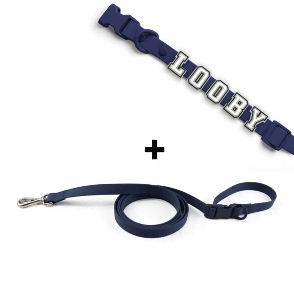 Personalized Dog Collar Leash Full Set with Playful Designs - Glow Luminous Dog Name - Image 2