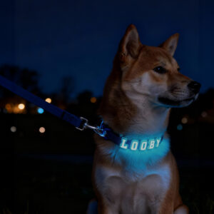 Personalized Glowing Dog Collar - Blue