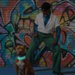 Personalized Collar Walk Kit