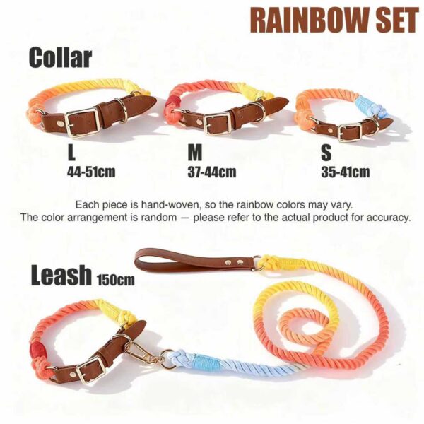 Joyful Tones ColorPlay Collar and Leash Set - Dog Collar - Image 8