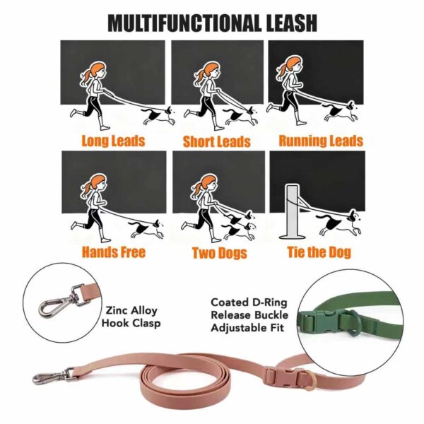Personalized Dog Collar Leash Full Set with Playful Designs - Cash King - Image 9