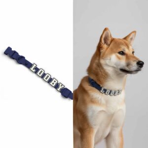 Personalized Dog Collar with Playful Designs - Glow Luminous Dog Name