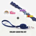 Designer Collar Walk Kit