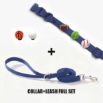 Designer Collar Walk Kit