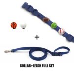 Designer Collar Walk Kit