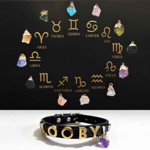 Personalized Collar - Birthstone Crystal