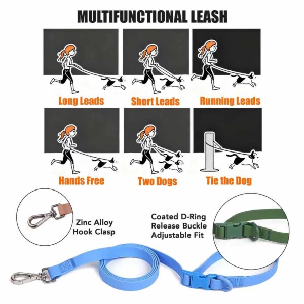 Personalized Dog Collar Leash Full Set with Playful Designs Charms - Family Beach Vacation - Image 6