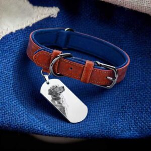 Personalized Dog Collar with Custom Dog Tag Dog Photo