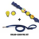 Designer Collar Walk Kit