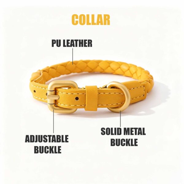 Luxury Leather Collar and Leash Set Fancy Leather Dog Collar - Image 7