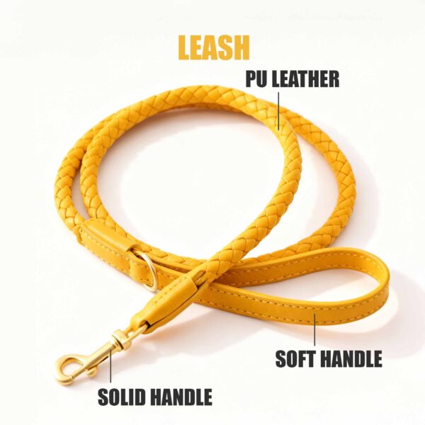 Luxury Leather Collar and Leash Set Fancy Leather Dog Collar - Image 8