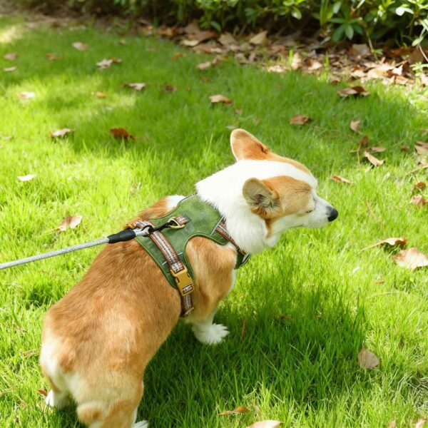 All Day Comfort Dog Harness - Image 2