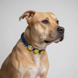 Designer Dog Collar with Playful Designs - Emoji Face
