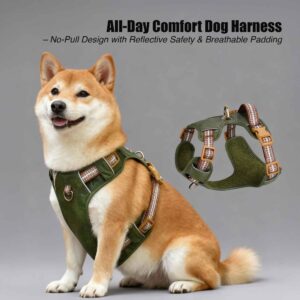 All Day Comfort Dog Harness