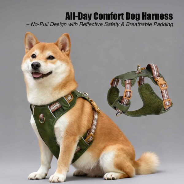 All Day Comfort Dog Harness