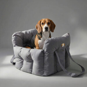 Personalised Travel Carrier