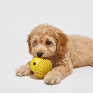 Play Toys - Acorn Treat Dispensing Dog Toy Chew Friendly Interactive Enrichment