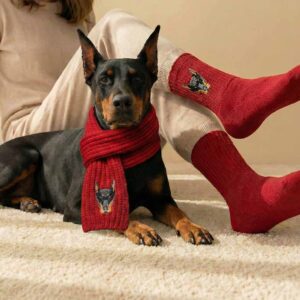 Personalised Pet & Owner Matching Scarf & Socks Set M-L